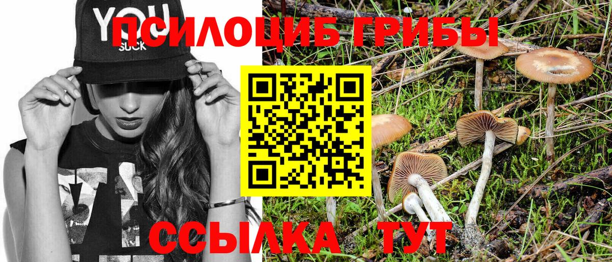 Галлюциногенные грибы Magic Shrooms Югорск