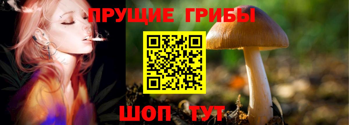 Псилоцибиновые грибы Psilocybine cubensis  Вход с VPN  Псилоцибиновые грибы прущие грибы  Югорск 